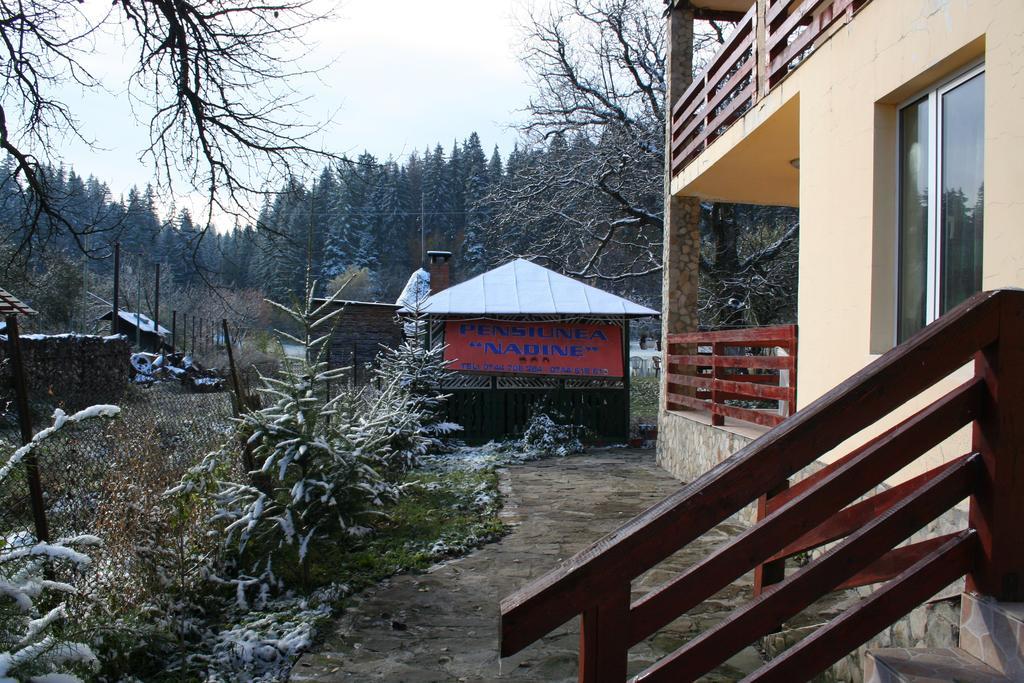 Hotel Pensiunea Nadine Agapia Exterior foto
